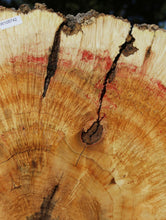 Load image into Gallery viewer, Box Elder Cookie