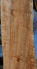 Load image into Gallery viewer, Figured Maple Slab