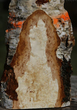 Load image into Gallery viewer, Masur Birch Live Edge Lumber