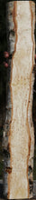 Load image into Gallery viewer, Masur Birch Live Edge Lumber