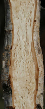 Load image into Gallery viewer, Masur Birch Live Edge Lumber