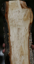 Load image into Gallery viewer, Masur Birch Live Edge Lumber