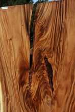 Load image into Gallery viewer, Monkeypod Crotchwood Slab
