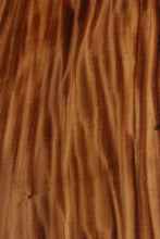 Load image into Gallery viewer, Monkeypod Crotchwood Slab