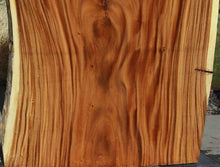 Load image into Gallery viewer, Monkeypod Crotchwood Slab