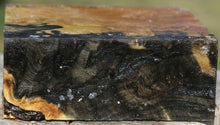 Load image into Gallery viewer, Buckeye Burl Bowl Blank