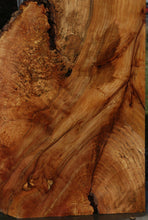Load image into Gallery viewer, Maple Slab