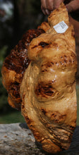 Load image into Gallery viewer, Red Coolibah Resin Burl Cap
