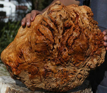 Load image into Gallery viewer, Red Gum Resin Burl Cap