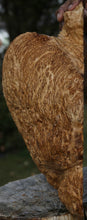 Load image into Gallery viewer, Red Coolibah Burl Cap