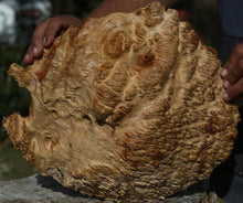 Load image into Gallery viewer, Red Coolibah Burl Cap