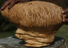 Load image into Gallery viewer, Red Coolibah Burl Cap