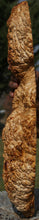 Load image into Gallery viewer, Red Mallee Burl Cap