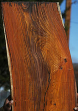 Load image into Gallery viewer, Cocobolo Slab