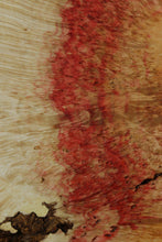 Load image into Gallery viewer, Box Elder Cookie