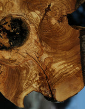 Load image into Gallery viewer, Rustic Italian Olive Half Cookie