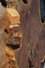 Load image into Gallery viewer, Rustic Italian Olive Cookie
