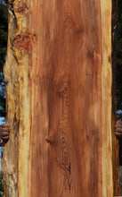 Load image into Gallery viewer, Redwood Slab