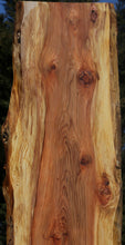 Load image into Gallery viewer, Redwood Slab