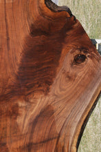 Load image into Gallery viewer, Fiddleback Claro Walnut Slab