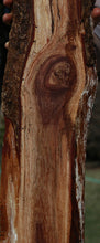 Load image into Gallery viewer, Hawaiian Koa Live Edge Lumber