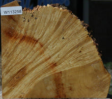 Load image into Gallery viewer, Figured Box Elder Slice