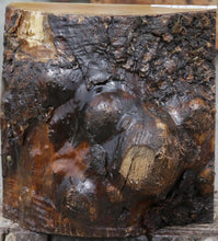 Load image into Gallery viewer, Myrtle Burl Cap