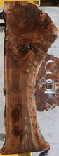 Load image into Gallery viewer, Rustic Claro Walnut Slab