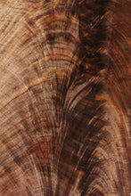 Load image into Gallery viewer, Rustic Claro Walnut Slab