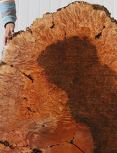 Load image into Gallery viewer, Maple Burl Slab