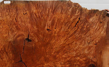 Load image into Gallery viewer, Maple Burl Slab