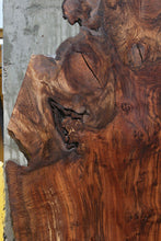 Load image into Gallery viewer, Rustic Grafted English/Claro Walnut Slab