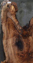 Load image into Gallery viewer, Rustic Grafted English/Claro Walnut Slab