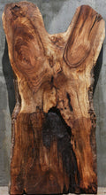 Load image into Gallery viewer, Rustic Grafted English/Claro Walnut Slab