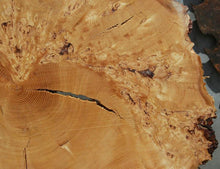 Load image into Gallery viewer, Rustic Douglas Fir Burl Cookie