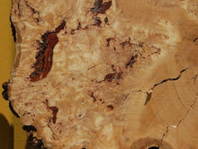 Load image into Gallery viewer, Rustic Douglas Fir Burl Cookie