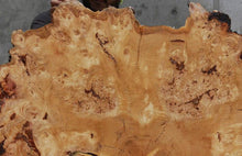 Load image into Gallery viewer, Douglas Fir Burl Cookie