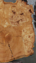 Load image into Gallery viewer, Douglas Fir Burl Cookie