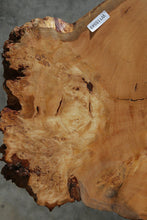 Load image into Gallery viewer, Douglas Fir Cookie