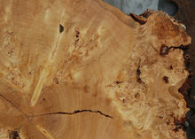 Load image into Gallery viewer, Rustic Douglas Fir Burl Cookie