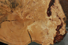 Load image into Gallery viewer, Rustic Douglas Fir Burl Cookie