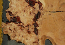 Load image into Gallery viewer, Douglas Fir Cookie