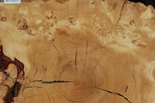 Load image into Gallery viewer, Douglas Fir Cookie