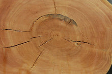 Load image into Gallery viewer, Douglas Fir Cookie