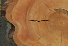 Load image into Gallery viewer, Douglas Fir Cookie