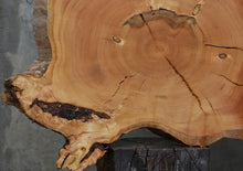 Load image into Gallery viewer, Douglas Fir Cookie