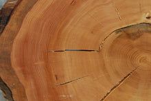 Load image into Gallery viewer, Douglas Fir Cookie