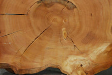 Load image into Gallery viewer, Douglas Fir Cookie
