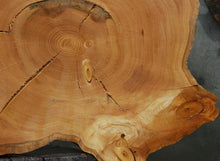 Load image into Gallery viewer, Douglas Fir Cookie