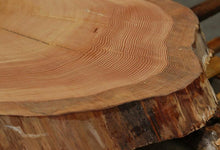 Load image into Gallery viewer, Douglas Fir Cookie